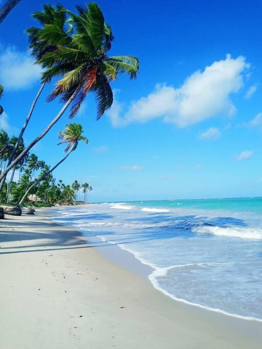 Apartamento Praia Dos Carneiros Tamandaré Zewnętrze zdjęcie